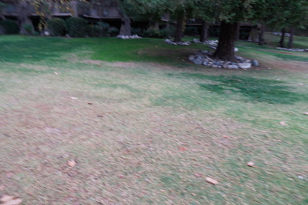 Middle.Ranch.LV.Terr.East.27