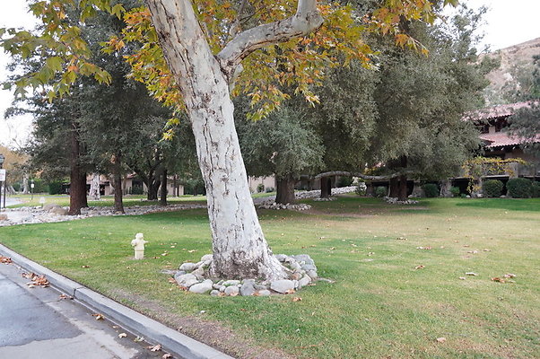 Middle.Ranch.East Side Field
