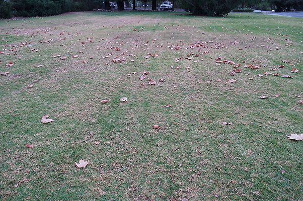 Middle.Ranch.LV.Terr.East.20