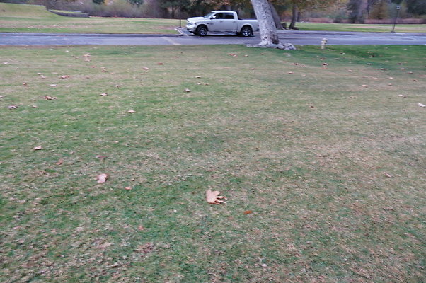 Middle.Ranch.LV.Terr.East.23