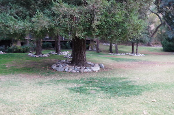 Middle.Ranch.LV.Terr.East.17