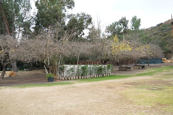 Calimigos.Feris.WHeel.Field.15 Calimigos.Feris.WHeel.Field.15