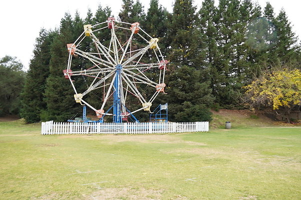 Calimigos.Feris.WHeel.Field.18 Calimigos.Feris.WHeel.Field.18