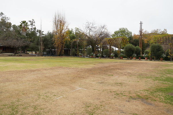 Calimigos.Feris.WHeel.Field.08