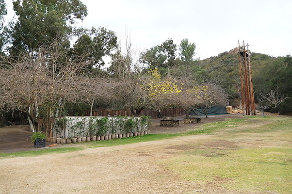 Calimigos.Feris.WHeel.Field.16 Calimigos.Feris.WHeel.Field.16