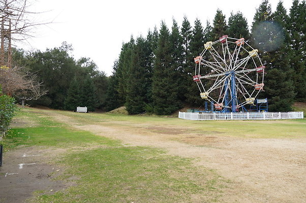 Calimigos.Feris.WHeel.Field.06