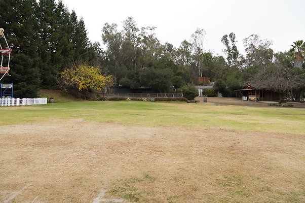 Calimigos.Feris.WHeel.Field.07 Calimigos.Feris.WHeel.Field.07