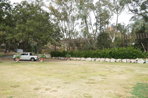 Calimigos.No.40.Field.19