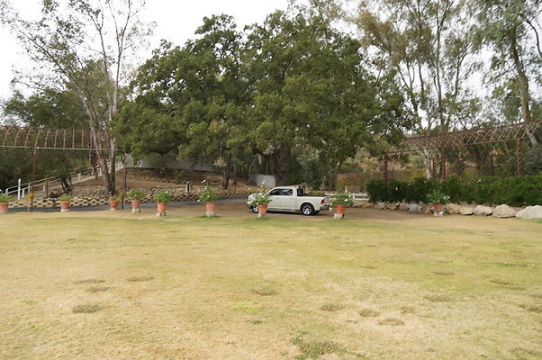 Calimigos.No.40.Field.18