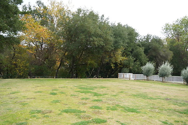 Calimigos.No.40.Field.12