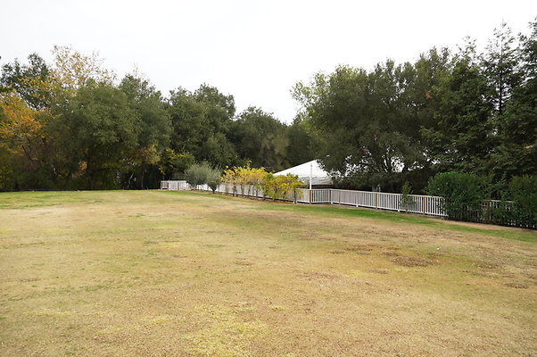 Calimigos.No.40.Field.06