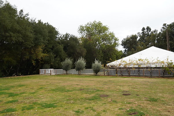 Calimigos.No.40.Field.13