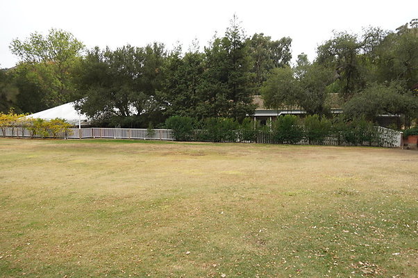 Calimigos.No.40.Field.03
