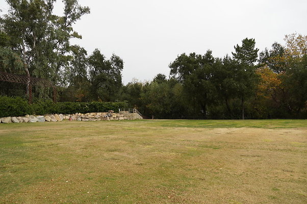 Calimigos.No.40.Field.05