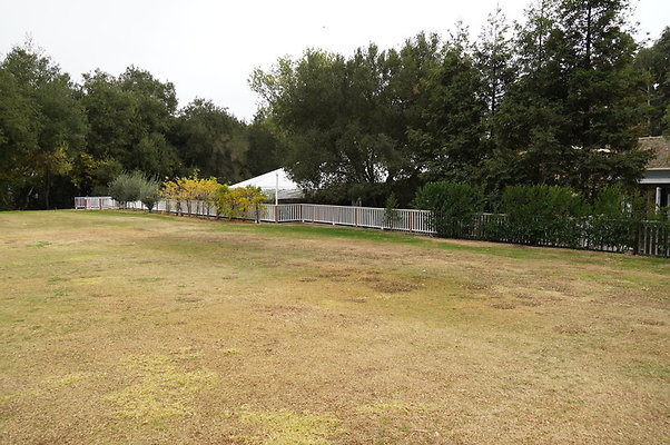 Calimigos.No.40.Field.09