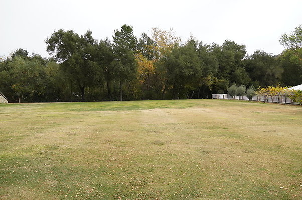 Calimigos.No.40.Field.02