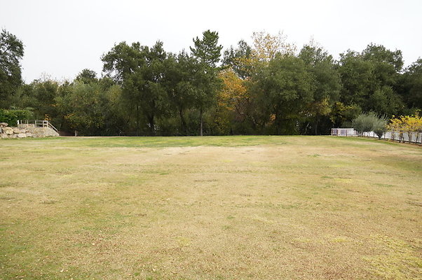 Calimigos.No.40.Field.08