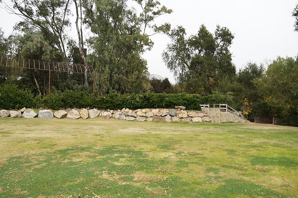 Calimigos.No.40.Field.21