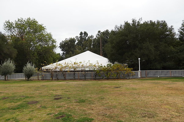 Calimigos.No.40.Field.14