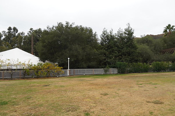 Calimigos.No.40.Field.15