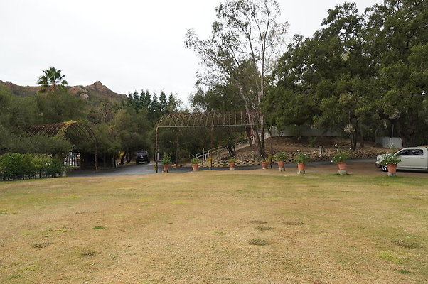 Calimigos.No.40.Field.17