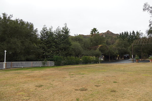 Calimigos.No.40.Field.16