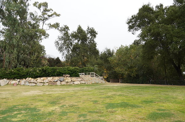 Calimigos.No.40.Field.10