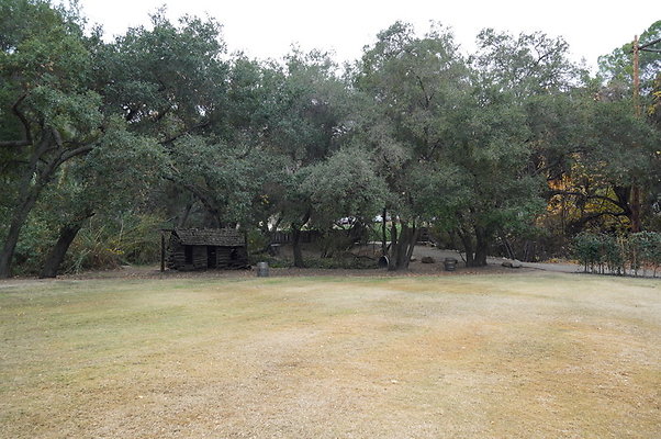 Calimigos.Stables.Field.10
