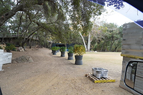 Calimigos.Stables.Field.19
