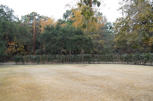 Calimigos.Stables.Field.12