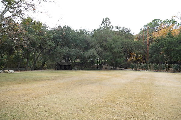 Calimigos.Stables.Field.02