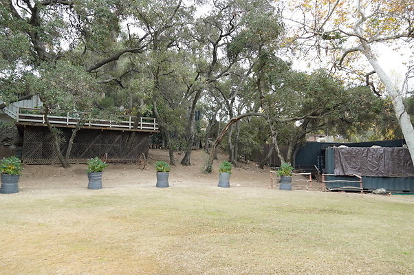Calimigos.Stables.Field.07