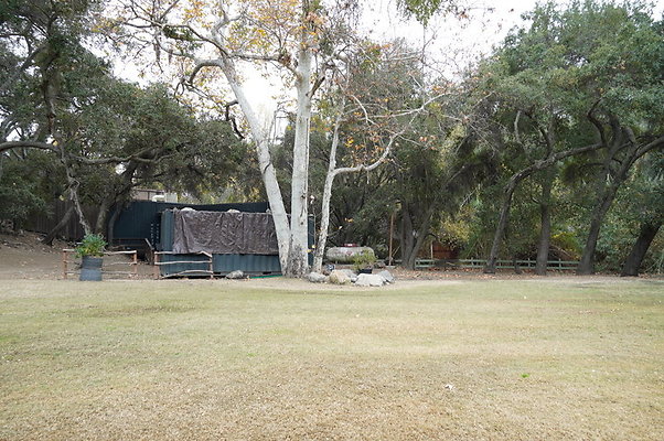 Calimigos.Stables.Field.08