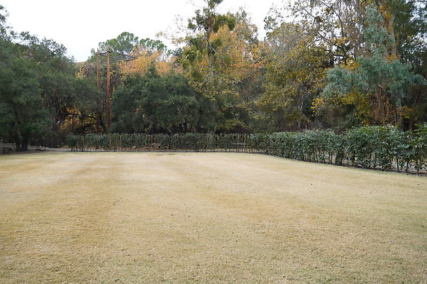 Calimigos.Stables.Field.03