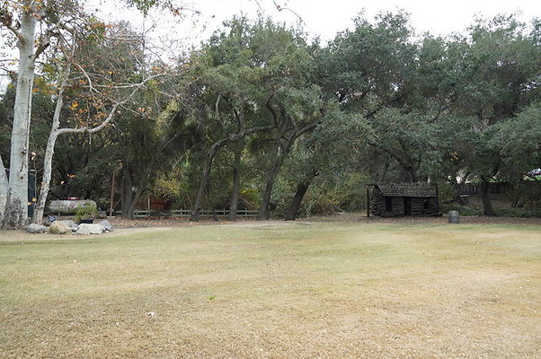 Calimigos.Stables.Field.09