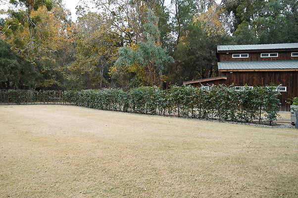 Calimigos.Stables.Field.06