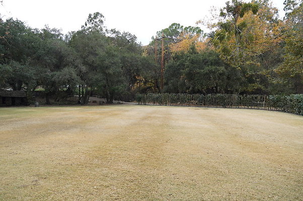 Calimigos.Stables.Field.05
