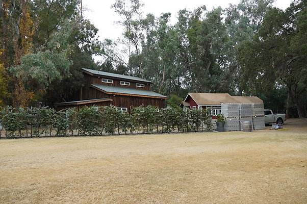 Calimigos.Stables.Field.15