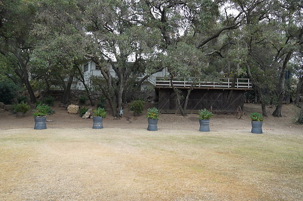 Calimigos.Stables.Field.18