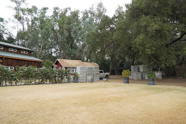 Calimigos.Stables.Field.16