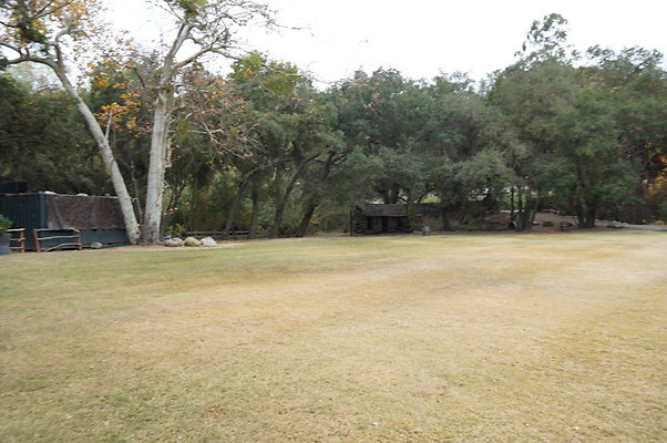 Calimigos.Stables.Field.04