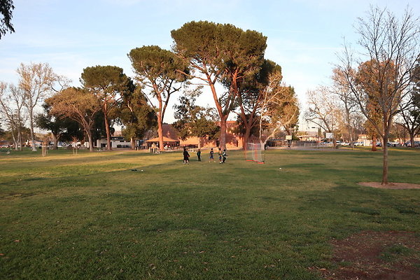 IMG 9357