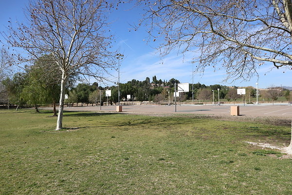 IMG 8999