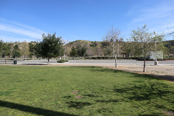 IMG 9017