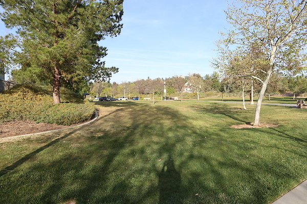 IMG 9263