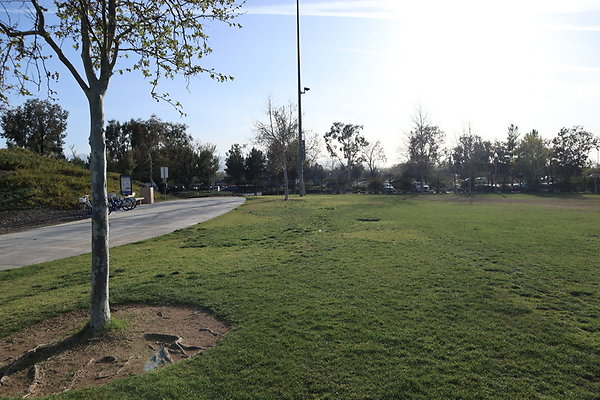 IMG 9250
