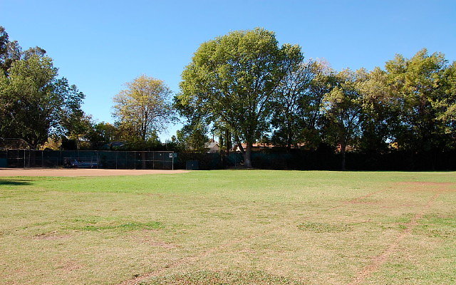 DSC 0080