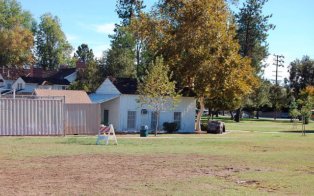 DSC 0096