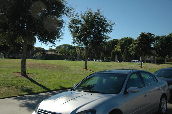 DSC 0265