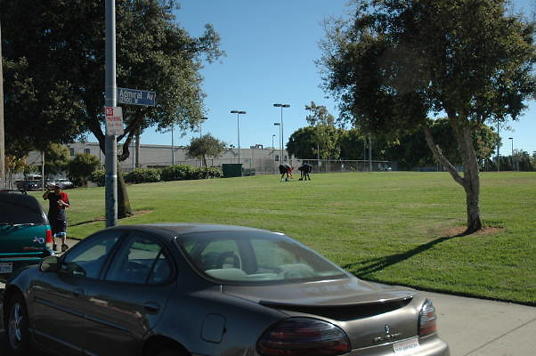 DSC 0263